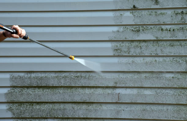 Best Roof Washing  in Herricks, NY